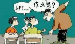 寒假作业写不完怎么办