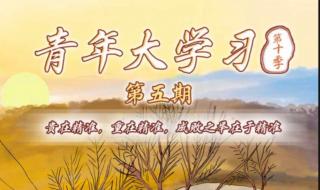 青年大学习第31期答案