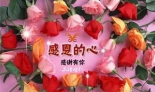 感恩一路帮助过我的人