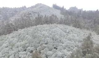 重庆4月多地迎来大雪