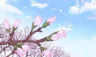 2023年躲春时间和方法