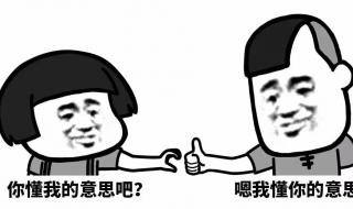 写作品梗概500字作文
