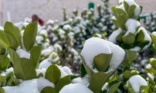 重庆4月多地迎来大雪