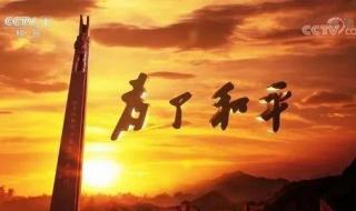 为了和平纪录片观后感
