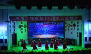 河南科技大学应用工程学院
