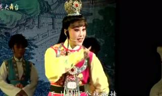天上掉下个林妹妹歌词