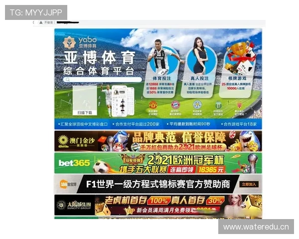 亚博网址官方网站官方平台介绍，全面解析其优势与特色