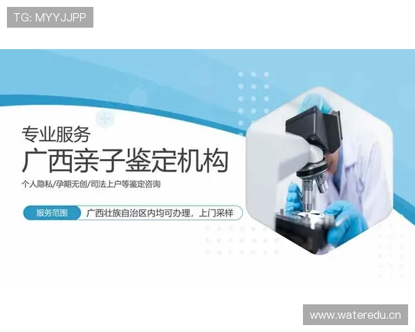 开云体育登录：新手必看注册登录流程详细步骤指南