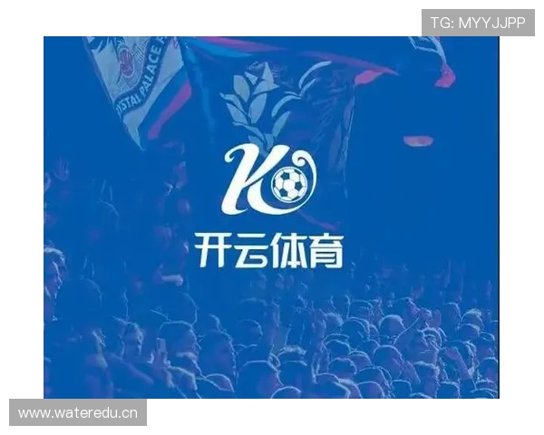 开云体育官方网址官方平台功能介绍，满足不同用户的多样化体育需求