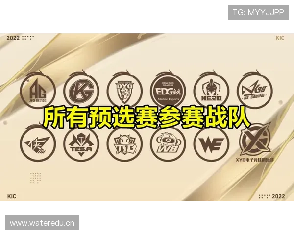 开云电竞官网VIP会员特权全面解析尊享专属服务体验