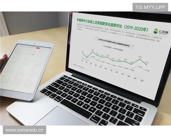 开云真人官网登录遇到问题怎么办？详细解决方案帮你快速恢复游戏体验
