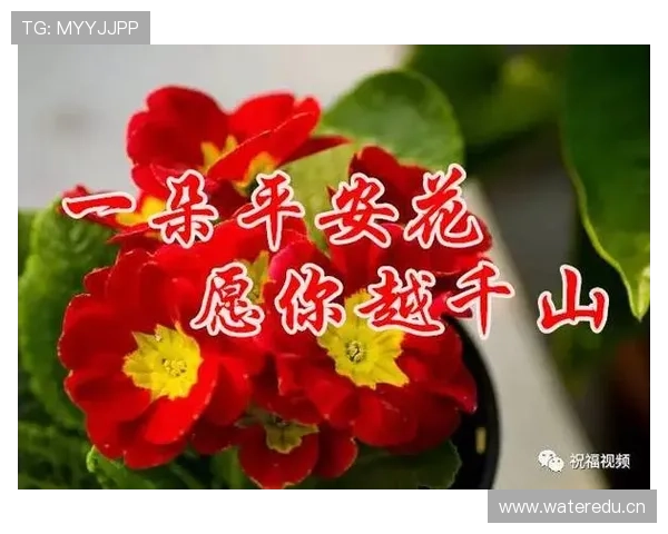 开运体育官网入口活动助你开启新年好运气提升幸运指数的最佳平台推荐