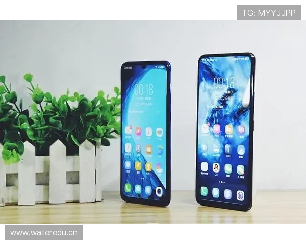 解读开云网址的市场定位与发展潜力