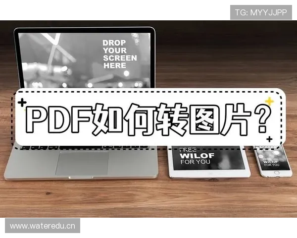 轻松进入开云官方网站的简单步骤分享与经验