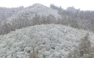12月重庆哪些地方下雪 重庆4月多地迎来大雪