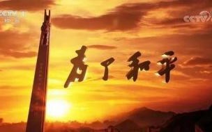 和平宣言观后感 为了和平纪录片观后感