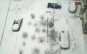 把东北的雪送到南方是官方行为吗 东北大哥卖雪给南方人